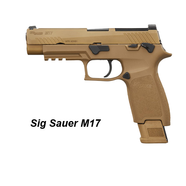 Sig Sauer M17 - Image 1